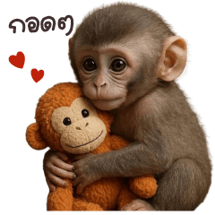 JaoJor pang monkey cute