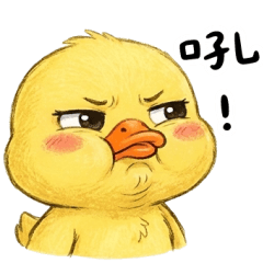 黃小鴨不甘願