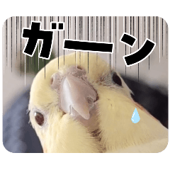 Chestnuts_20260222231831