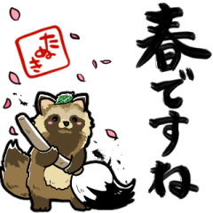 raccoon dogs with calligraphy for spring