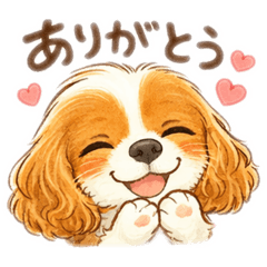 noichigo_20260220193134