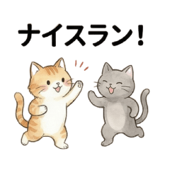 Fluffy Cat's Marathon