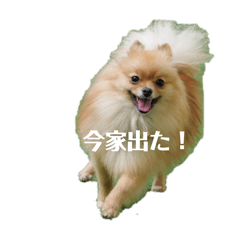 chimaki_20260222143131