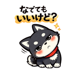 miton_20260220224228