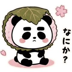 Bold Brow Panta Vol.2