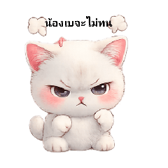 noom nooy_20260222162142