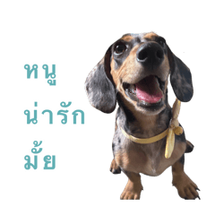 wawow_20260222165420