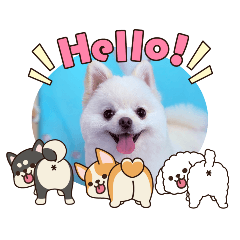 juju_20260222211148