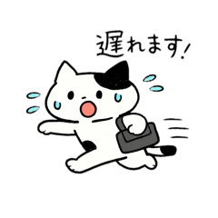 meimei_20260223072056