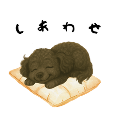 Black Toy Poodle Life Stickers 2