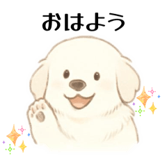 Great Pyrenees waiting at home