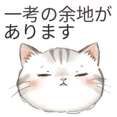 Calm Work Cat Reactions