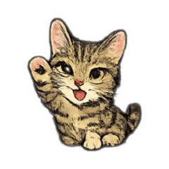 My Cat Series:Brown Tabby