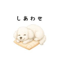 White Toy Poodle Life Stickers