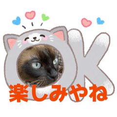 キララの独り言