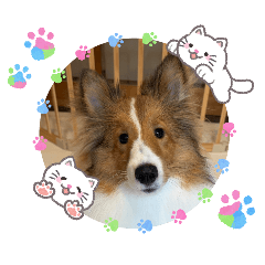 HIFUMI_20260222160202