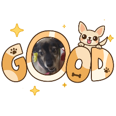 Chibikorokuma_20260222161459