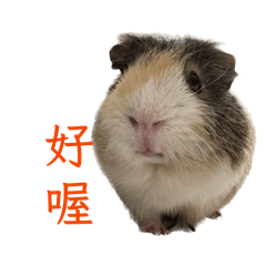 永遠的Cookie