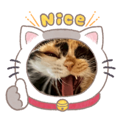 sayuko_20260222225112