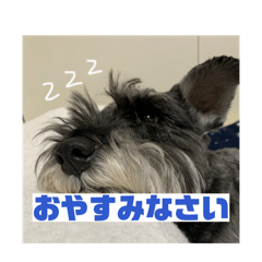 potato kudo_20260222224554