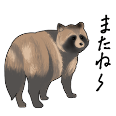 うだつの上がらないたぬき