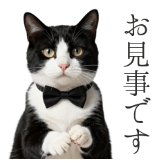 優雅な執事猫のお叱りと称賛