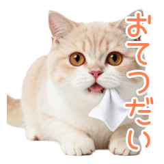 マンチカンの短足お手伝い大作戦♪