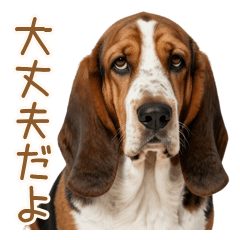優しく寄り添う♡癒しの全肯定犬