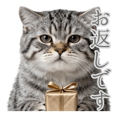 感情は無 マヌルネコのホワイトデー