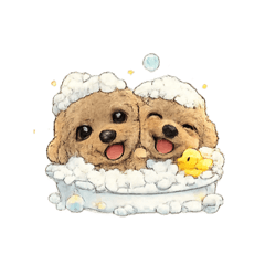 SONASONA_20260218135313