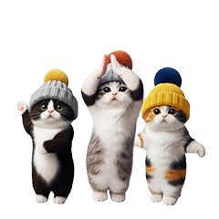 *dance! dancing! knitted cap cat