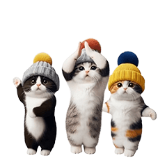踊る!ニット帽にゃんこ