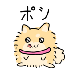 MIKAMI_20260222171758