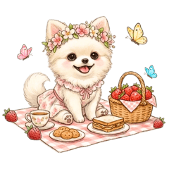 marichan_shop_20260221155639