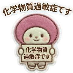 SS Pokke_20260220150013