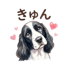 Keblow_20260221162629