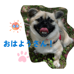 Haruyama_20260221164411