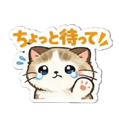 Angel_20260221173533