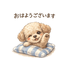 SONASONA_20260221185732