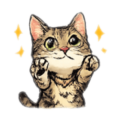 My Cat Series:Brown Tabby 2