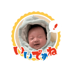 TAIGA_20260222182600