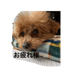 Milan_20260222182310