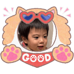 yokko_20260222183302