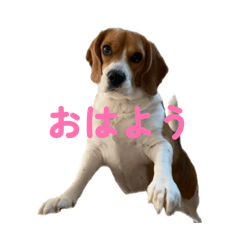 asuka.n_20260223093020
