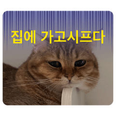 YURIpiyo_20260218092943