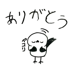 HAZU_20260221214033