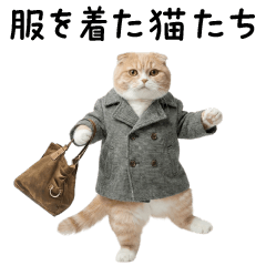 服を着た猫たち