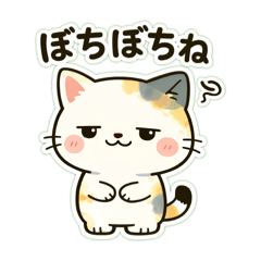 Suki - the chill cat 2