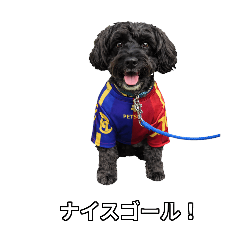 mimichan_20260221223043