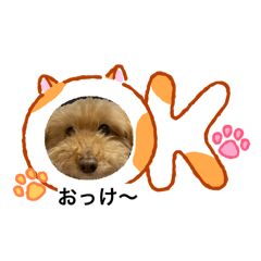 mayu_20260221211415